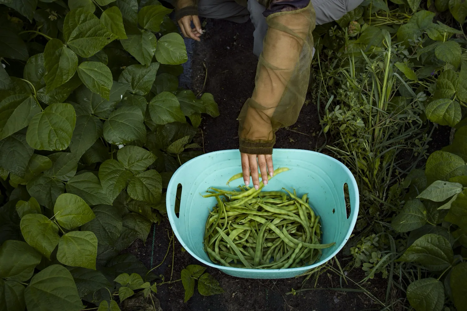 newsletter cta background